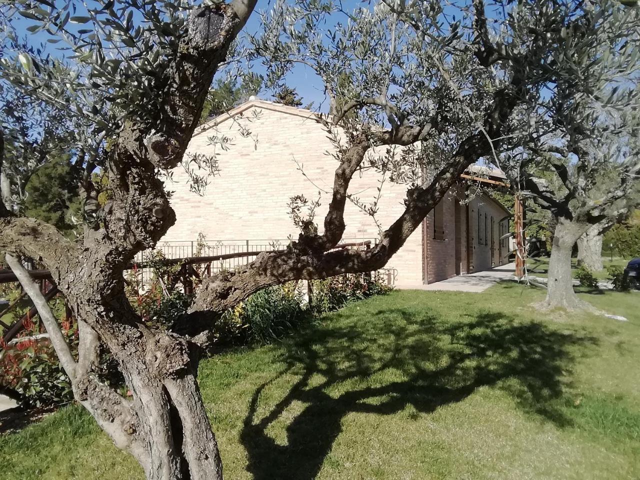 Appartement Il Roccolo Di Valcerasa à Treia Extérieur photo