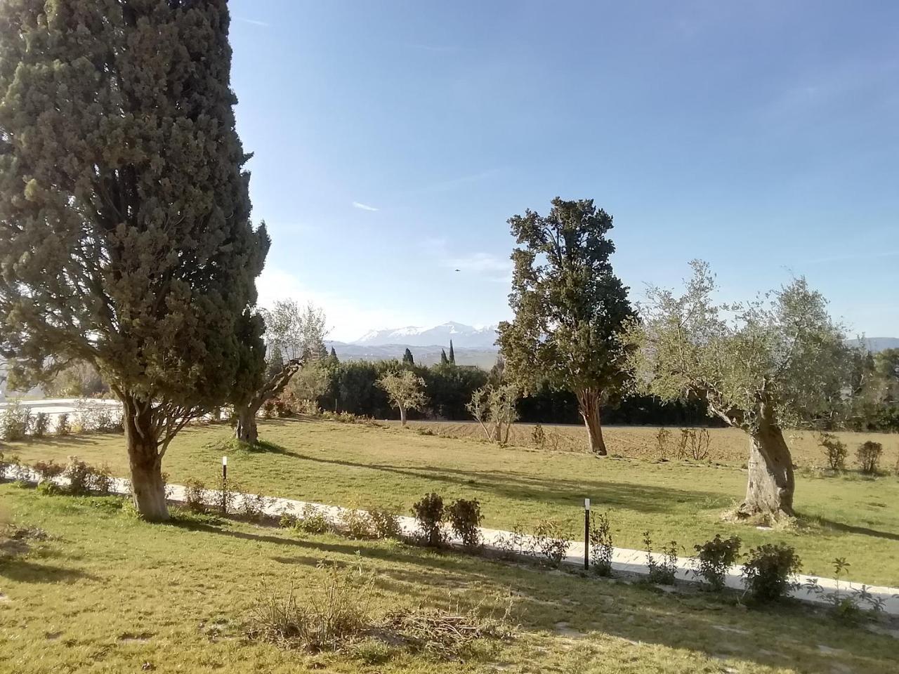 Appartement Il Roccolo Di Valcerasa à Treia Extérieur photo
